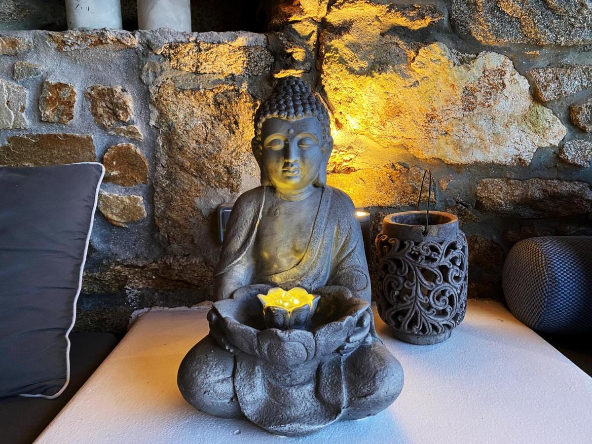 Apanema Villas, Mykonos トゥルロス エクステリア 写真
