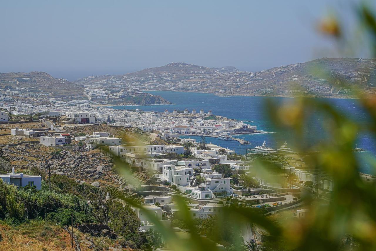Apanema Villas, Mykonos トゥルロス エクステリア 写真